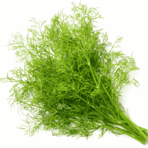 Dill (1 bunch)