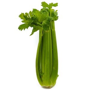 Celery (1ea)