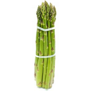 Asparagus (1 bunch)