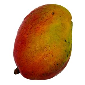 Mango, Kent (1ea)