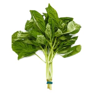 Basil (1 bunch)