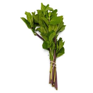 Mint (1 bunch)