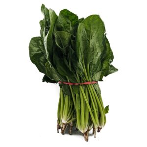 Spinach (1 bunch)