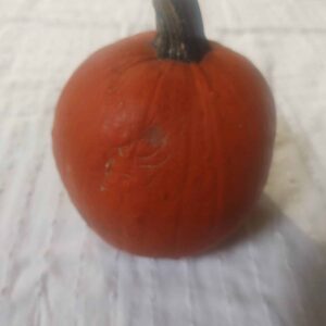 Squash, Pie Pumpkin (1ea) FREE