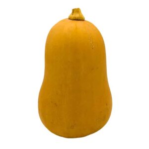 Squash, Butternut (1ea)