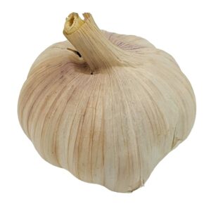 Garlic (1ea)