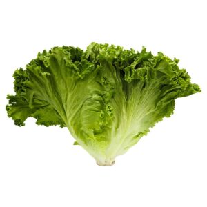 Lettuce, Green Leaf (1ea)