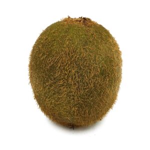 Kiwi (1ea)