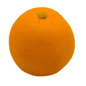 Orange (1ea)