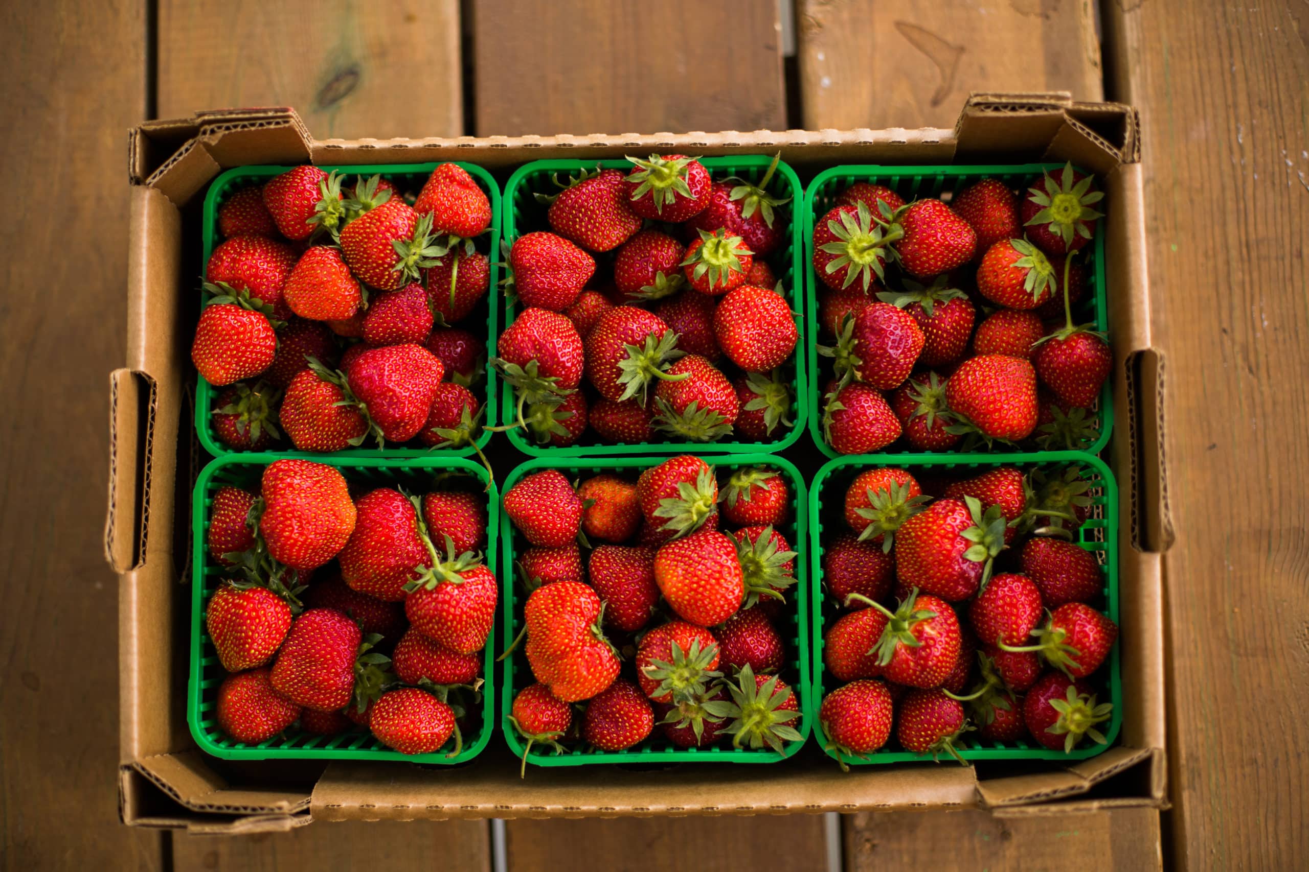Sourcing local food at The SEED