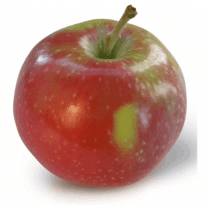 Apple, Empire, Local (1ea)