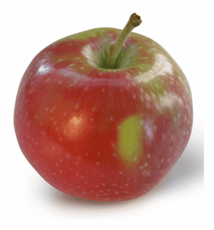Apple, Empire, Local (1ea)