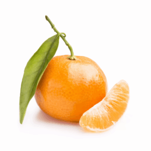 Clementine (1ea)