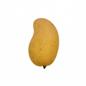 Mango, Ataulfo (1ea)