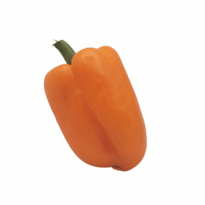 Pepper, Orange (1ea)