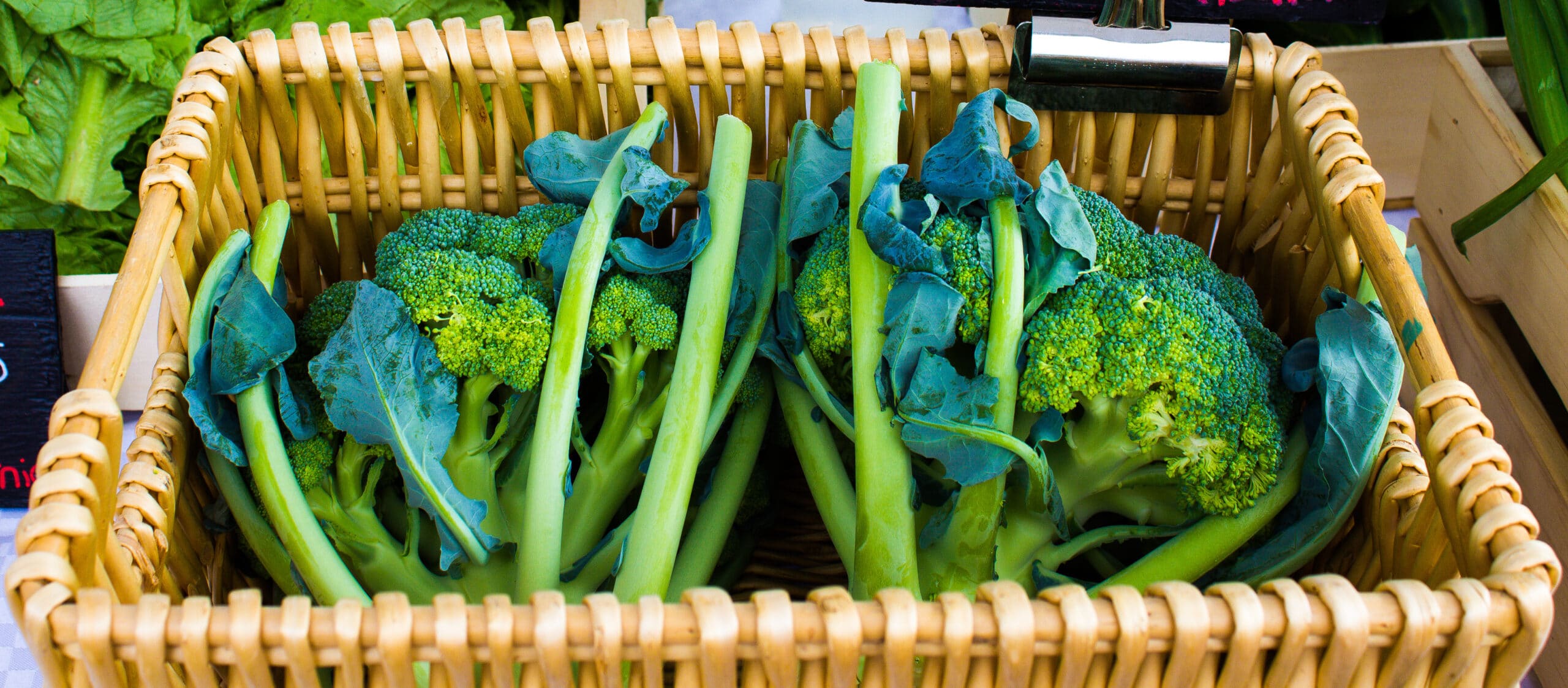 Applying Social Enterprise to Food Access Programming – The SEED Markets 